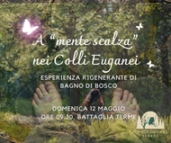 ESPERIENZA DI BAGNO DI BOSCO-12 MAGGIO 2024-A MENTE SCALZA NEI COLLI EUGANEI