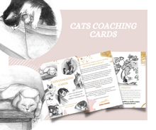 Load image into Gallery viewer, CATS COACHING CARDS-IT
