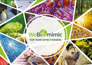 WeBiomimic®  for Team Effectiveness