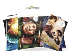 Load image into Gallery viewer, WeBiomimic®  for Team Effectiveness
