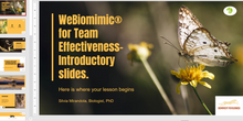 Load image into Gallery viewer, Digital Version- WeBiomimic® for Team Effectiveness Card deck+Guidebook
